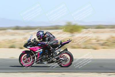 media/Apr-10-2022-SoCal Trackdays (Sun) [[f104b12566]]/Speed Shots Back Straight (930am)/